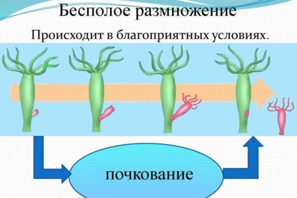 Кракен тор ссылка